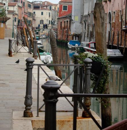 Casa Di Primavera Venedig Exteriör bild